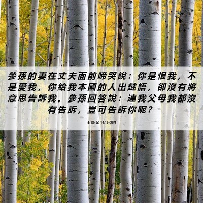 Picture 06 - 士 師 記 14:16 CUVT - 參 孫 的 妻 在 丈 夫 面 前 啼 哭 說 - Bible Verse Picture