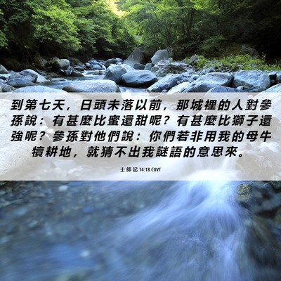 Picture 06 - 士 師 記 14:18 CUVT - 到 第 七 天 ， 日 頭 未 落 以 前 ， - Bible Verse Picture