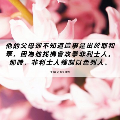 Picture 06 - 士 師 記 14:4 CUVT - 他 的 父 母 卻 不 知 道 這 事 是 出 - Bible Verse Picture