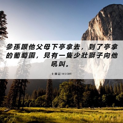 Picture 06 - 士 師 記 14:5 CUVT - 參 孫 跟 他 父 母 下 亭 拿 去 ， 到 - Bible Verse Picture