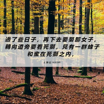 Picture 06 - 士 師 記 14:8 CUVT - 過 了 些 日 子 ， 再 下 去 要 娶 那 - Bible Verse Picture