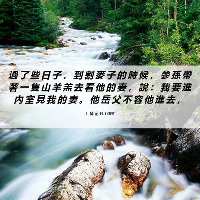 Picture 06 - 士 師 記 15:1 CUVT - 過 了 些 日 子 ， 到 割 麥 子 的 時 - Bible Verse Picture