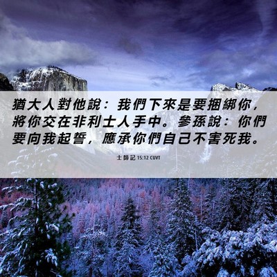 Picture 06 - 士 師 記 15:12 CUVT - 猶 大 人 對 他 說 ： 我 們 下 來 是 - Bible Verse Picture
