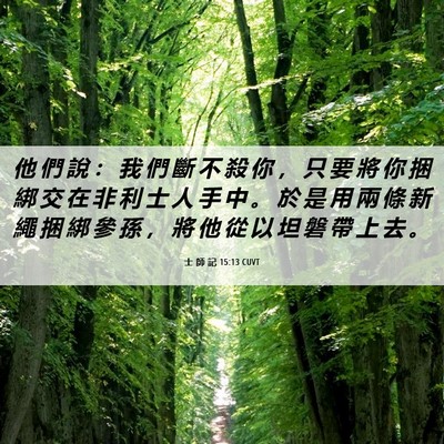 Picture 06 - 士 師 記 15:13 CUVT - 他 們 說 ： 我 們 斷 不 殺 你 ， 只 - Bible Verse Picture