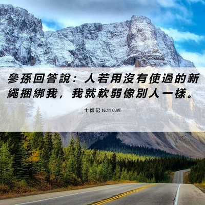 Picture 06 - 士 師 記 16:11 CUVT - 參 孫 回 答 說 ： 人 若 用 沒 有 使 - Bible Verse Picture