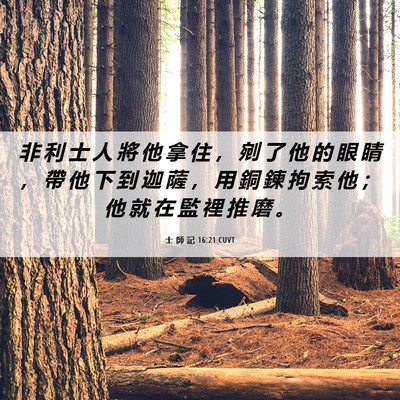 Picture 06 - 士 師 記 16:21 CUVT - 非 利 士 人 將 他 拿 住 ， 剜 了 他 - Bible Verse Picture