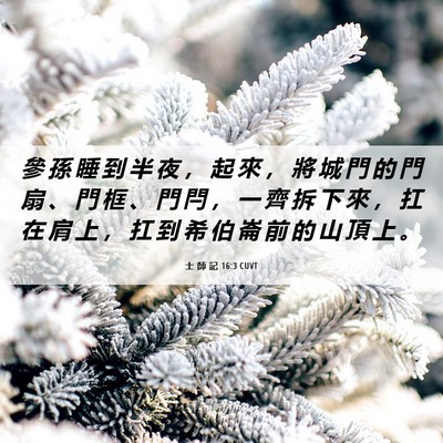 Picture 06 - 士 師 記 16:3 CUVT - 參 孫 睡 到 半 夜 ， 起 來 ， 將 城 - Bible Verse Picture