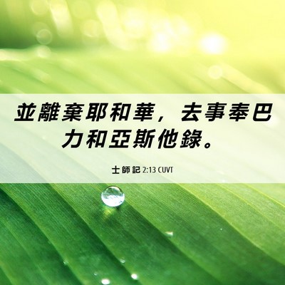 Picture 06 - 士 師 記 2:13 CUVT - 並 離 棄 耶 和 華 ， 去 事 奉 巴 力 - Bible Verse Picture