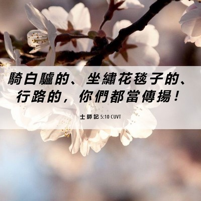 Picture 06 - 士 師 記 5:10 CUVT - 騎 白 驢 的 、 坐 繡 花 毯 子 的 、 - Bible Verse Picture
