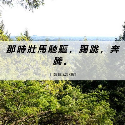 Picture 06 - 士 師 記 5:22 CUVT - 那 時 壯 馬 馳 驅 ， 踢 跳 ， 奔 騰 - Bible Verse Picture