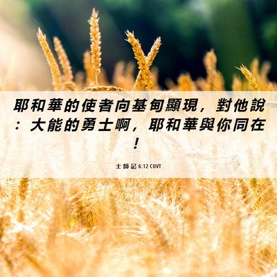 Picture 06 - 士 師 記 6:12 CUVT - 耶 和 華 的 使 者 向 基 甸 顯 現 ， - Bible Verse Picture