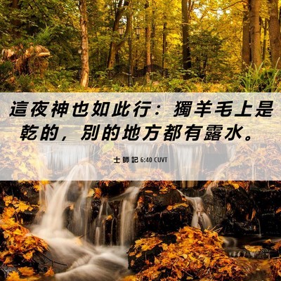 Picture 06 - 士 師 記 6:40 CUVT - 這 夜 神 也 如 此 行 ： 獨 羊 毛 上 - Bible Verse Picture