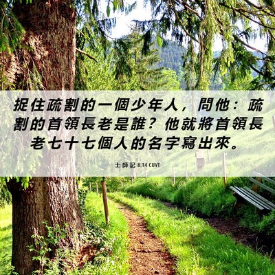 Picture 06 - 士 師 記 8:14 CUVT - 捉 住 疏 割 的 一 個 少 年 人 ， 問 - Bible Verse Picture