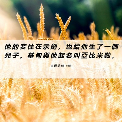Picture 06 - 士 師 記 8:31 CUVT - 他 的 妾 住 在 示 劍 ， 也 給 他 生 - Bible Verse Picture