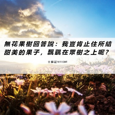 Picture 06 - 士 師 記 9:11 CUVT - 無 花 果 樹 回 答 說 ： 我 豈 肯 止 - Bible Verse Picture