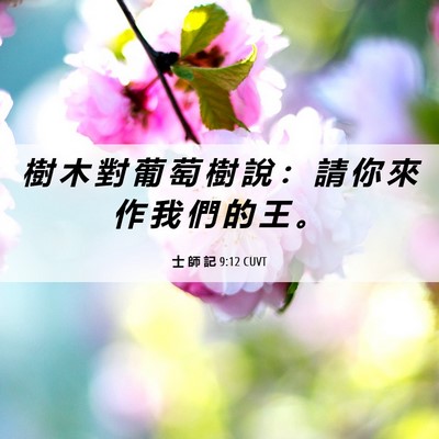 Picture 06 - 士 師 記 9:12 CUVT - 樹 木 對 葡 萄 樹 說 ： 請 你 來 作 - Bible Verse Picture