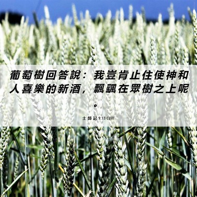 Picture 06 - 士 師 記 9:13 CUVT - 葡 萄 樹 回 答 說 ： 我 豈 肯 止 住 - Bible Verse Picture
