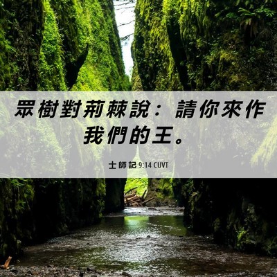 Picture 06 - 士 師 記 9:14 CUVT - 眾 樹 對 荊 棘 說 ： 請 你 來 作 我 - Bible Verse Picture