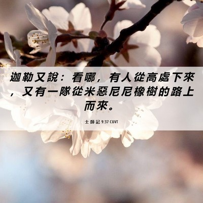 Picture 06 - 士 師 記 9:37 CUVT - 迦 勒 又 說 ： 看 哪 ， 有 人 從 高 - Bible Verse Picture