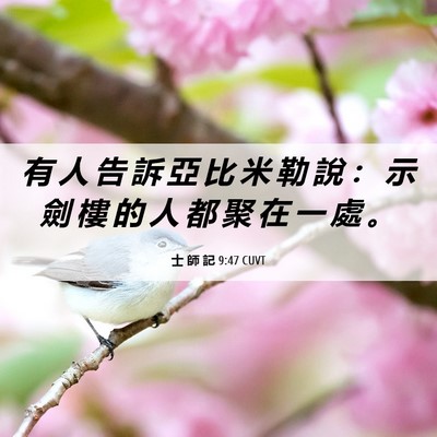 Picture 06 - 士 師 記 9:47 CUVT - 有 人 告 訴 亞 比 米 勒 說 ： 示 劍 - Bible Verse Picture