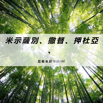 Picture 06 - 尼 希 米 記 10:21 CUVT - 米 示 薩 別 、 撒 督 、 押 杜 亞 - Bible Verse Picture