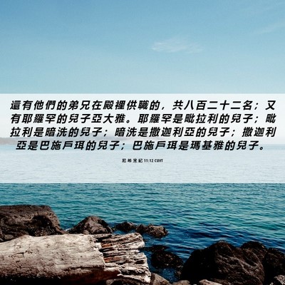 Picture 06 - 尼 希 米 記 11:12 CUVT - 還 有 他 們 的 弟 兄 在 殿 裡 供 職 - Bible Verse Picture