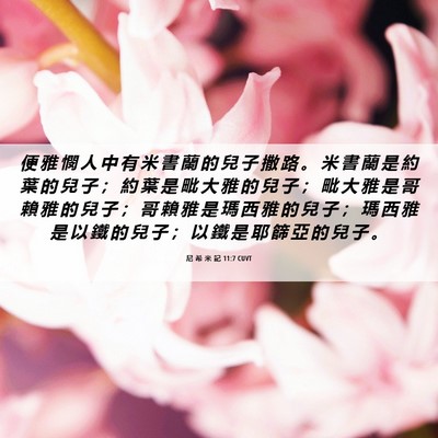 Picture 06 - 尼 希 米 記 11:7 CUVT - 便 雅 憫 人 中 有 米 書 蘭 的 兒 子 - Bible Verse Picture