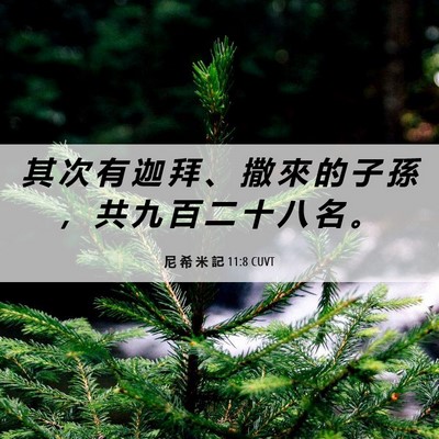 Picture 06 - 尼 希 米 記 11:8 CUVT - 其 次 有 迦 拜 、 撒 來 的 子 孫 ， - Bible Verse Picture