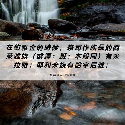 Picture 06 - 尼 希 米 記 12:12 CUVT - 在 約 雅 金 的 時 候 ， 祭 司 作 族 - Bible Verse Picture