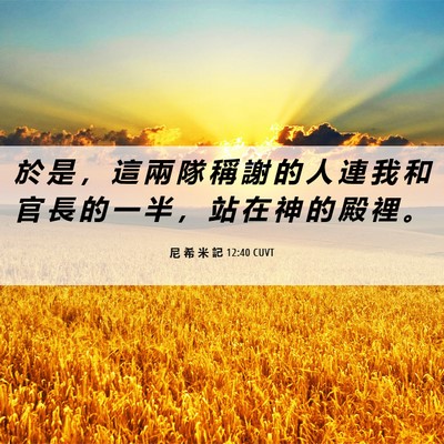 Picture 06 - 尼 希 米 記 12:40 CUVT - 於 是 ， 這 兩 隊 稱 謝 的 人 連 我 - Bible Verse Picture