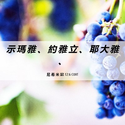 Picture 06 - 尼 希 米 記 12:6 CUVT - 示 瑪 雅 、 約 雅 立 、 耶 大 雅 - Bible Verse Picture