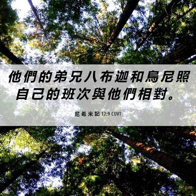 Picture 06 - 尼 希 米 記 12:9 CUVT - 他 們 的 弟 兄 八 布 迦 和 烏 尼 照 - Bible Verse Picture