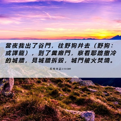 Picture 06 - 尼 希 米 記 2:13 CUVT - 當 夜 我 出 了 谷 門 ， 往 野 狗 井 - Bible Verse Picture