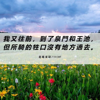Picture 06 - 尼 希 米 記 2:14 CUVT - 我 又 往 前 ， 到 了 泉 門 和 王 池 - Bible Verse Picture