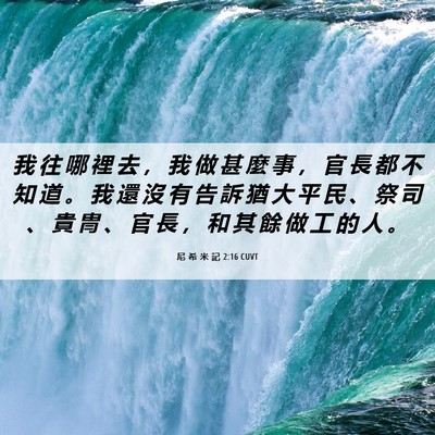 Picture 06 - 尼 希 米 記 2:16 CUVT - 我 往 哪 裡 去 ， 我 做 甚 麼 事 ， - Bible Verse Picture