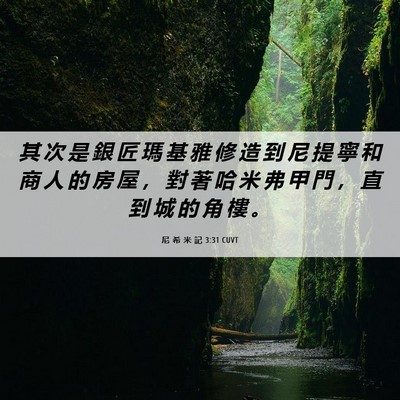 Picture 06 - 尼 希 米 記 3:31 CUVT - 其 次 是 銀 匠 瑪 基 雅 修 造 到 尼 - Bible Verse Picture