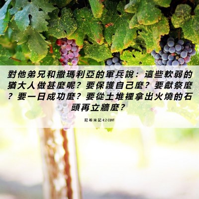 Picture 06 - 尼 希 米 記 4:2 CUVT - 對 他 弟 兄 和 撒 瑪 利 亞 的 軍 兵 - Bible Verse Picture