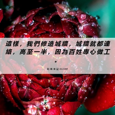 Picture 06 - 尼 希 米 記 4:6 CUVT - 這 樣 ， 我 們 修 造 城 牆 ， 城 牆 - Bible Verse Picture
