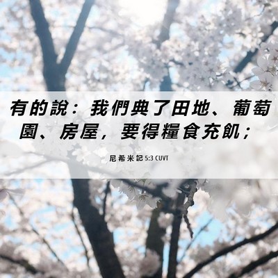 Picture 06 - 尼 希 米 記 5:3 CUVT - 有 的 說 ： 我 們 典 了 田 地 、 葡 - Bible Verse Picture