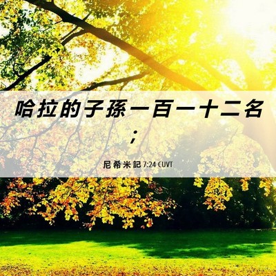 Picture 06 - 尼 希 米 記 7:24 CUVT - 哈 拉 的 子 孫 一 百 一 十 二 名 - Bible Verse Picture