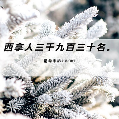 Picture 06 - 尼 希 米 記 7:38 CUVT - 西 拿 人 三 千 九 百 三 十 名 - Bible Verse Picture