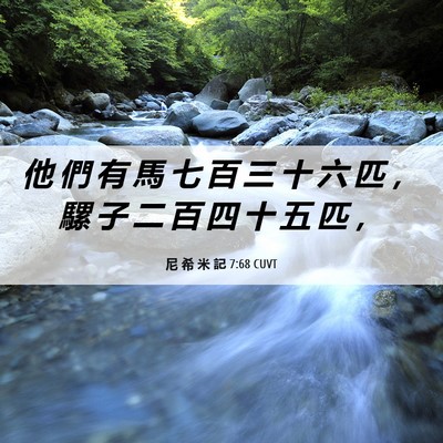 Picture 06 - 尼 希 米 記 7:68 CUVT - 他 們 有 馬 七 百 三 十 六 匹 ， 騾 - Bible Verse Picture