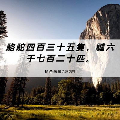 Picture 06 - 尼 希 米 記 7:69 CUVT - 駱 駝 四 百 三 十 五 隻 ， 驢 六 千 - Bible Verse Picture