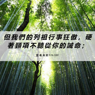 Picture 06 - 尼 希 米 記 9:16 CUVT - 但 我 們 的 列 祖 行 事 狂 傲 ， 硬 - Bible Verse Picture