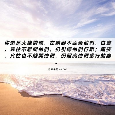 Picture 06 - 尼 希 米 記 9:19 CUVT - 你 還 是 大 施 憐 憫 ， 在 曠 野 不 - Bible Verse Picture