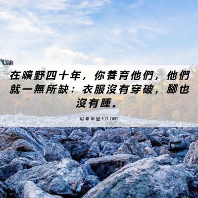 Picture 06 - 尼 希 米 記 9:21 CUVT - 在 曠 野 四 十 年 ， 你 養 育 他 們 - Bible Verse Picture