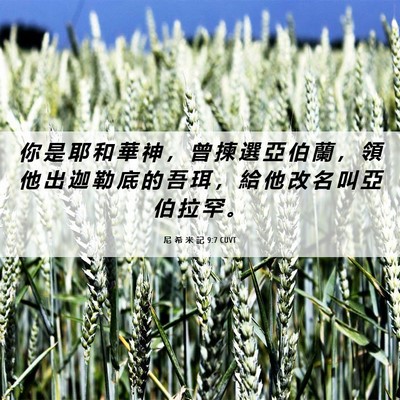 Picture 06 - 尼 希 米 記 9:7 CUVT - 你 是 耶 和 華 神 ， 曾 揀 選 亞 伯 - Bible Verse Picture