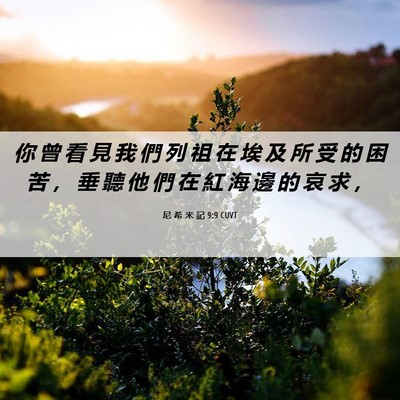 Picture 06 - 尼 希 米 記 9:9 CUVT - 你 曾 看 見 我 們 列 祖 在 埃 及 所 - Bible Verse Picture