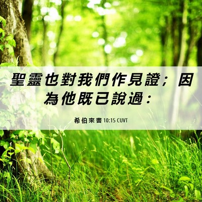 Picture 06 - 希 伯 來 書 10:15 CUVT - 聖 靈 也 對 我 們 作 見 證 ； 因 為 - Bible Verse Picture