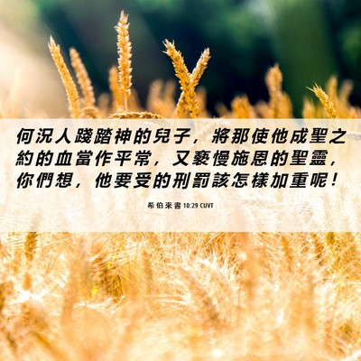 Picture 06 - 希 伯 來 書 10:29 CUVT - 何 況 人 踐 踏 神 的 兒 子 ， 將 那 - Bible Verse Picture